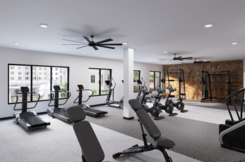 Modern gym